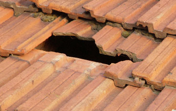 roof repair Weston Mill, Devon